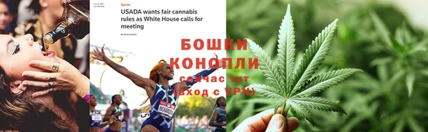 ПСИЛОЦИБИНОВЫЕ ГРИБЫ Куйбышев