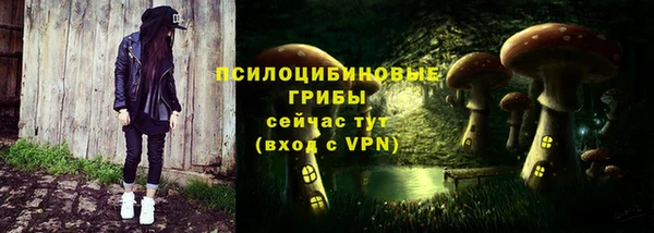 ПСИЛОЦИБИНОВЫЕ ГРИБЫ Куйбышев