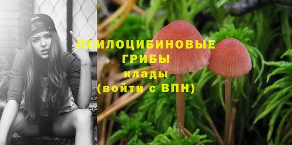 герыч Кулебаки