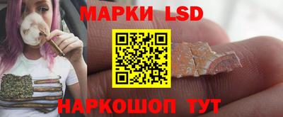 крисы Берёзовский