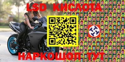 ПСИЛОЦИБИНОВЫЕ ГРИБЫ Бийск