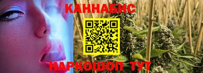 гашик Будённовск