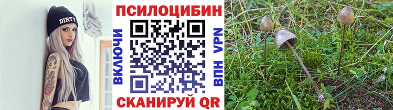Галлюциногенные грибы ЛСД  Архангельск 