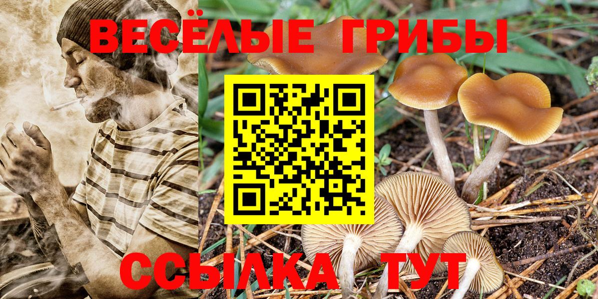 Архангельск  Псилоцибиновые грибы MAGIC MUSHROOMS  Вход с VPN  Галлюциногенные грибы Psilocybe 